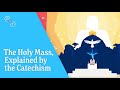The holy mass explained by the catechism