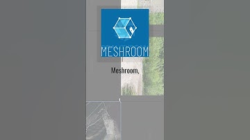 🟡 360 video to 3D model - Parte I Process #meshroom #metashape #3dfzephyr