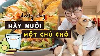 A RELAXING CLEAN UP day with my pet and ENJOY DELICIOUS SHRIMP TACOS! #ninhdaily