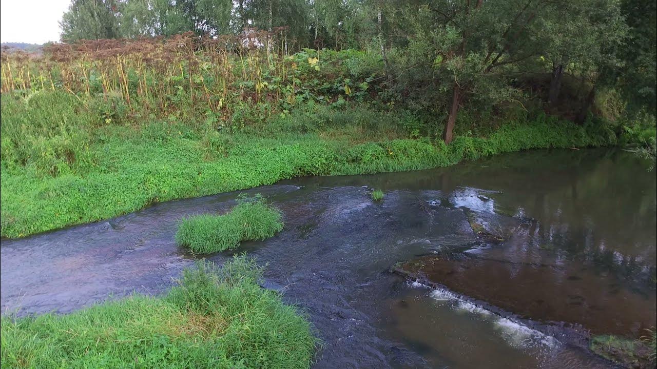 Сады на реке какой реке. Река Воря Абрамцево. Река Воря Угра. Река Воря Песчанка. Река Воря Московская область.