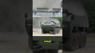 Ile Rosomaków Naprawdę Ma Polska? Liczby, O Których Nikt Nie Mówi