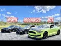 Whipple GT350R vs Procharged GT350 Ft @Driveway Demons