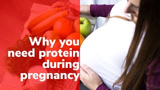 Why You Need Protein During Pregnancy - First 1000 Days