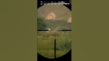 Beast Mode Engaged: Tackling Ferocious Creatures