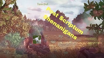Post Scriptum Shenanigans - POST SCRIPTUM HIGHLIGHTS