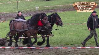 Locul Ii , Categoria Mica Proba De Dublu Concurs Remetea