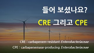 CRE 그리고 CPE에 관하여