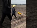 Efficient Farming: Using a Manual Push-Type Wheel Fertilizer on