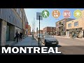 Montreal Neighborhood Walks: La Petite-Patrie and Little Italy | Montreal Canada Walking Video