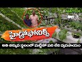 Hydroponic Vegetable Farming | Complete Information about Hydroponic System| AgriTech Telugu