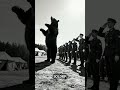 Wojtek the War Bear True Story  #historyshorts #history #historicalfacts #ww2 #didyouknow #worldwar2