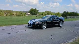 Viper 2006