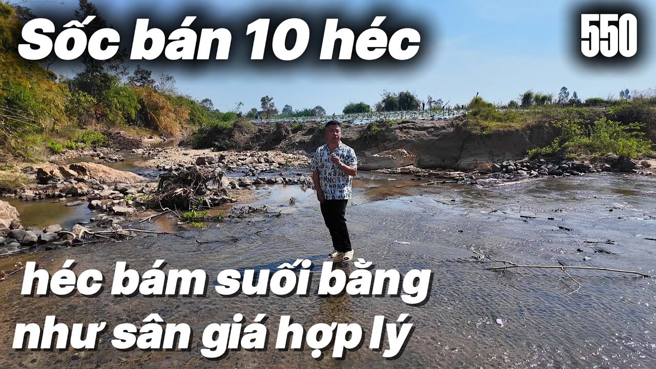 Sốc bán 10 héc bám suối bằng như sân giá hợp lý