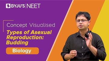 Reproduction in Organism | Concept Visualized | Types of Asexual Reproduction: Budding | NEET |