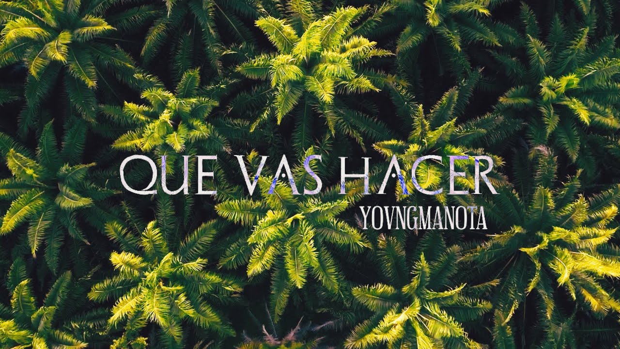 Watch YOVNGMANOTA - QUE VAS HACER (Video Oficial) on YouTube Watch YOVNGMANOTA - QUE VAS HACER (Video Oficial) on YouTube