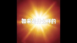 201511 如来是什么样的21269
