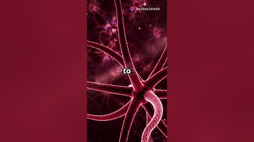 Mind Blowing Brain Facts in 60 Seconds!  #ai #brain #facts #shorts