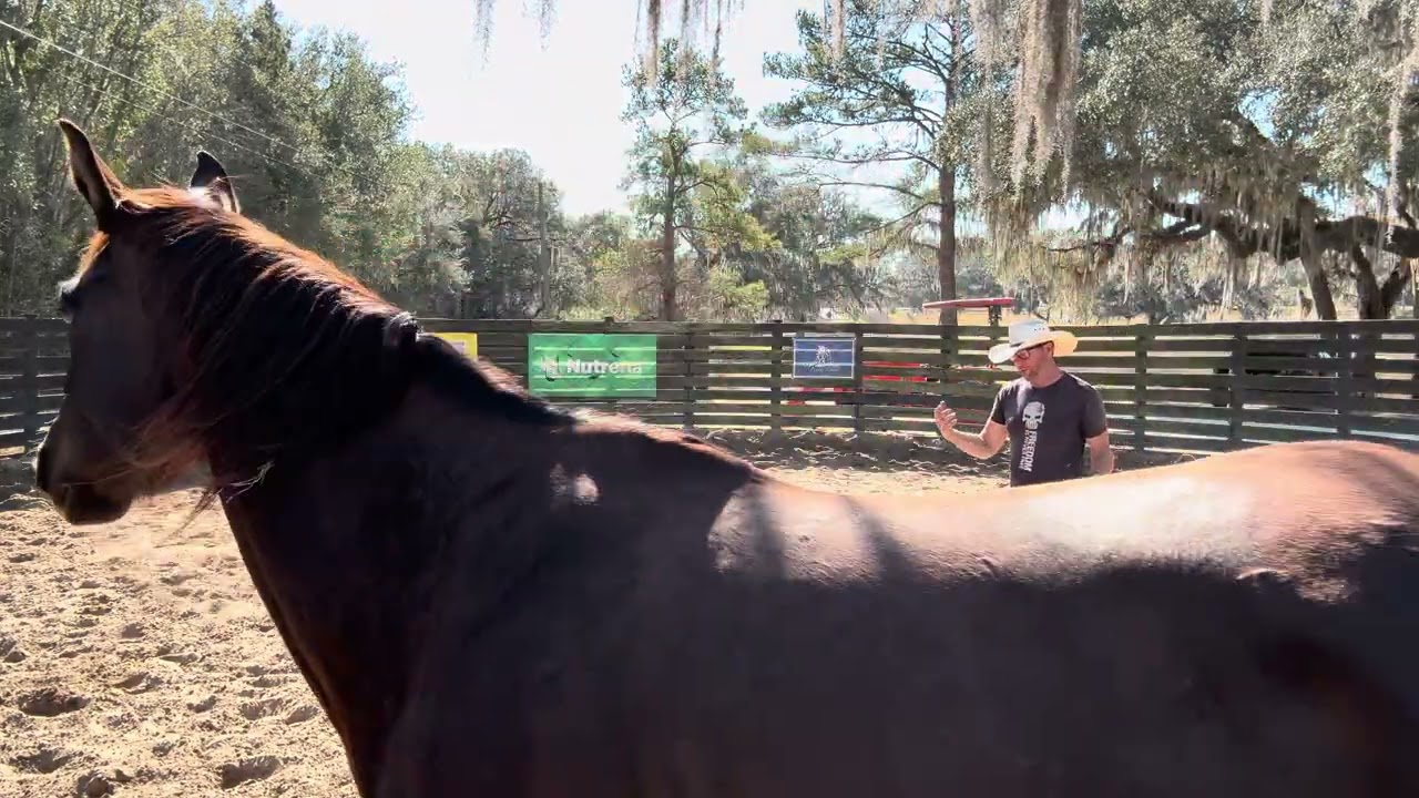 The Journey of Herd Bound to Secure