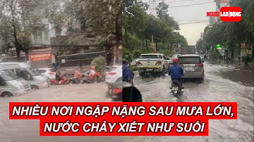 Nhiều nơi ngập nặng sau mưa lớn, nước chảy xiết như suối | Báo Người Lao Động