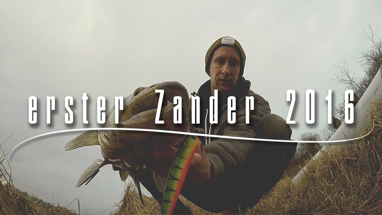 erster-zander-2016-kompletter-drill-youtube