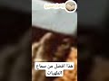 خشوع يصل للبكاء المنشاوي القرآن الكريم المصحف مسلمين آيات مؤثرة جدا خشوع يصل للبكاء المنشاوي القرآن الكريم المصحف مسلمين آيات مؤثرة جدا