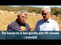 TV Agro - De bezerro a boi gordo em até 14 meses - Entrevista Luiz Antônio Monteiro.