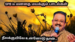 நீலக்குயிலே உன்னோடு நான்..