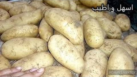 سر تخزين البطاطس لسنة بدون فريزر وكأ نها لسة طازة