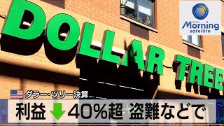 米ダラー・ツリー決算　利益↓40％超 盗難などで【モーサテ】（2023年8月25日）