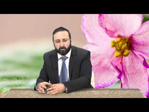 ההבדל בין גבר לאישה | שלום בית | הרב יהודה שמעוני