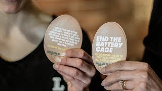 Grilld and RSPCA Announcement