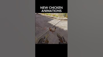 DOES SOMEONE REALLY CARE ABOUT CHICKEN ANIMATIONS?#hellcase #cs2 #cs2moments #cs2clips