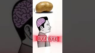 Sicak Patates 1