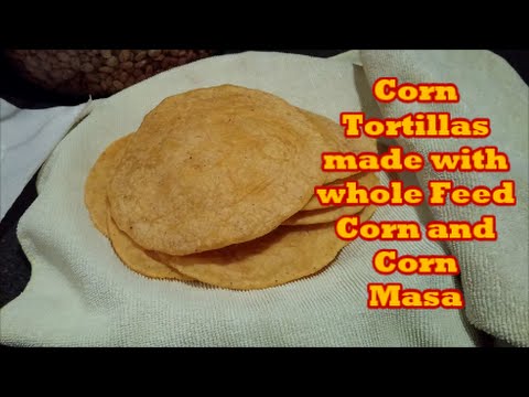 corn-tortillas-made-with-whole-corn-and-corn-masa-flour.