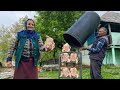 A Unique Way of cooking Whole Chickens under a Barrel