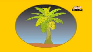 Fruits & Vegetables - Difference Between Fruits & Vegetables - Kids Animation Learn Series screenshot 1