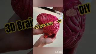 Easy 3D Human Brain Model🧠✨ Science project #shorts #diy #science #3dmodel Wealth