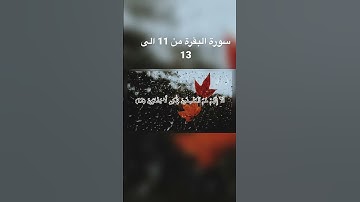 سورة البقرة من 11 الى 13