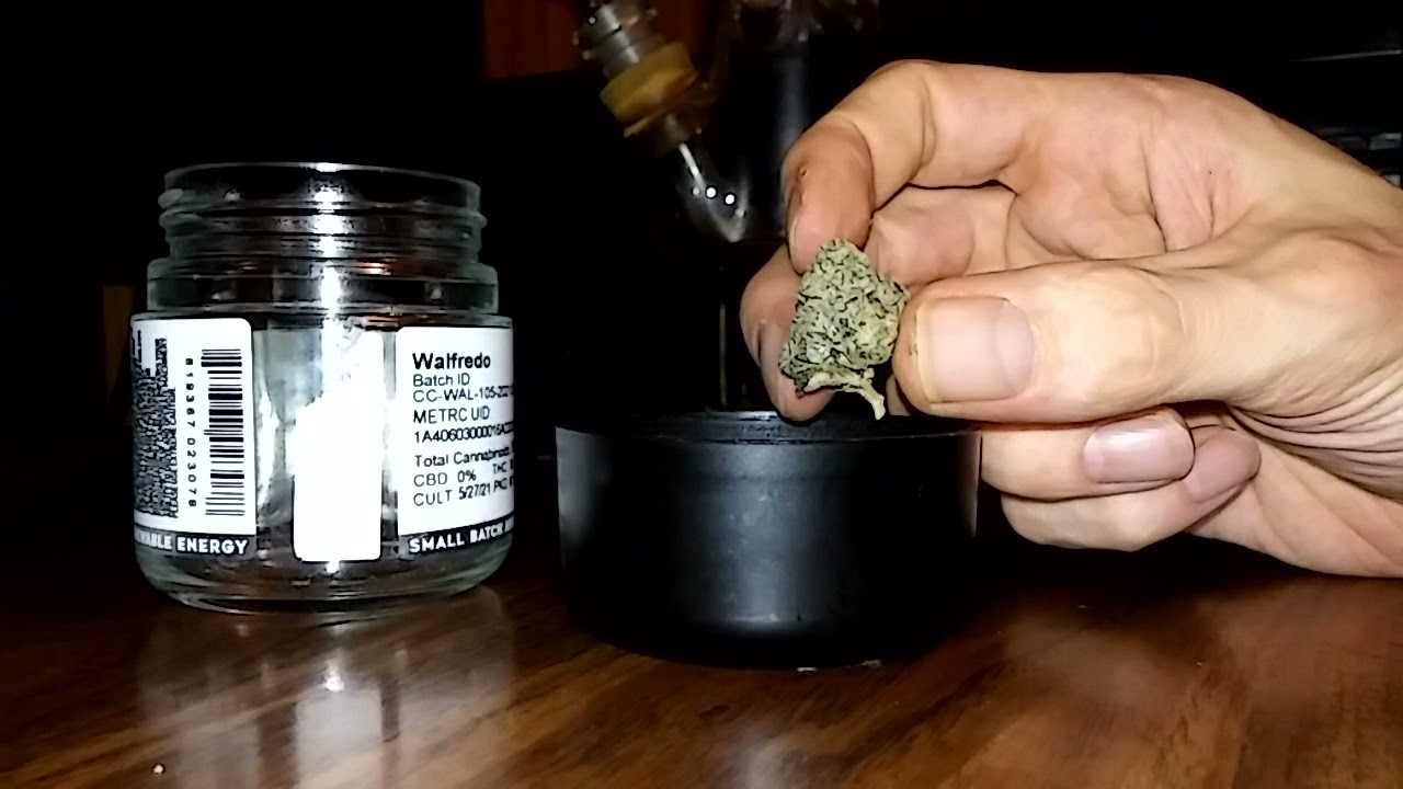 Floracal Farms - Walfredo