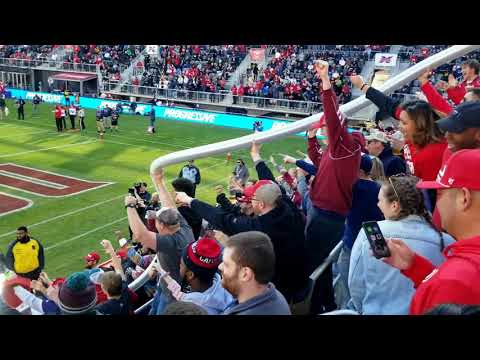 beer-snake-takes-over-audi-field