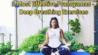 3 Most Effective Pranayamas - Deep Breathing Exercises - with detailed explanation for beginners