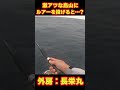 激アツな鳥山にルアーを投げると…!?