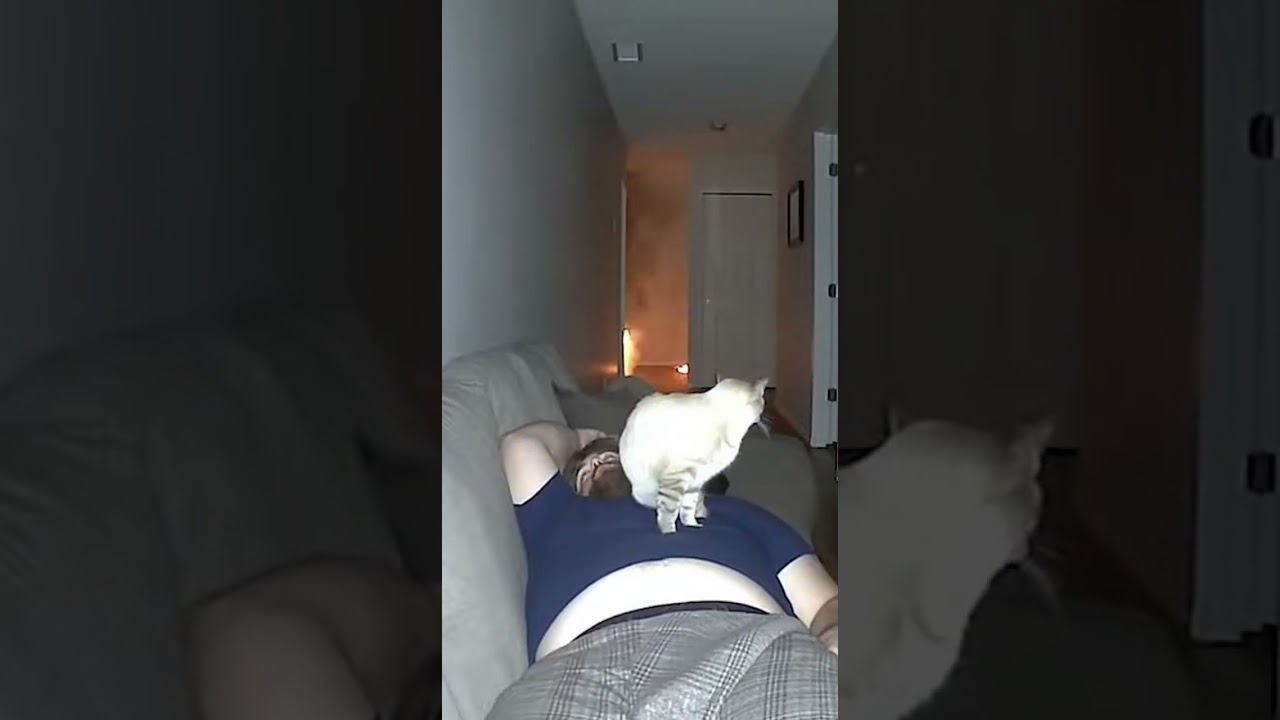The cat wakes its owner during a fire