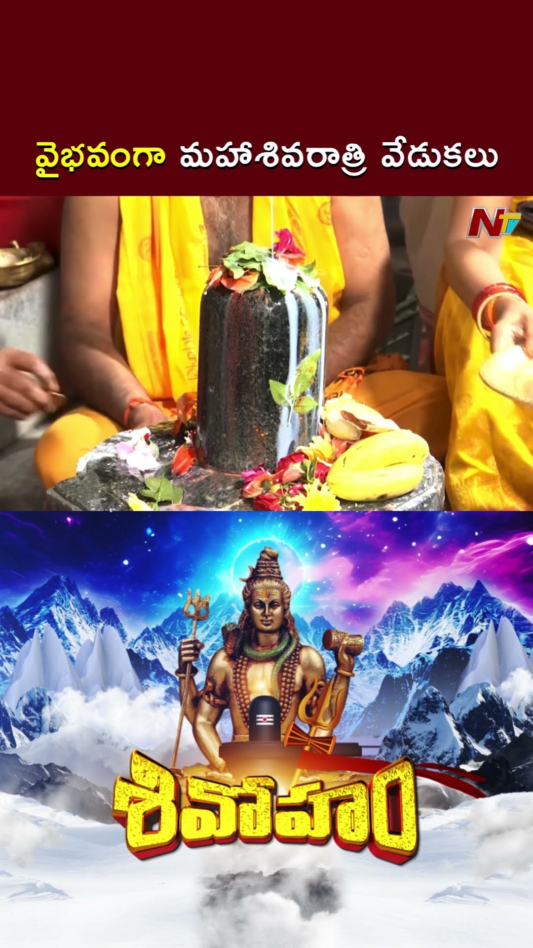 Maha Shivarathri : వైభవంగా మహాశివరాత్రి వేడుకలు l NTV