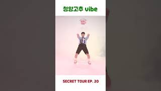 에이스의 청양고추 VIBE 🔥