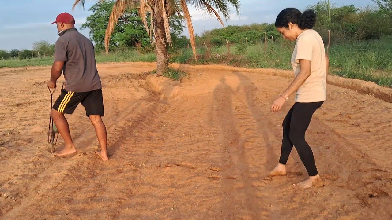 Hoje fomos plantar nosso feijão 