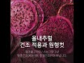 건조과일 A급 적용과 원형컷 (레드워터용) 1Kg (100g X 10개) (약143입) 54,900원