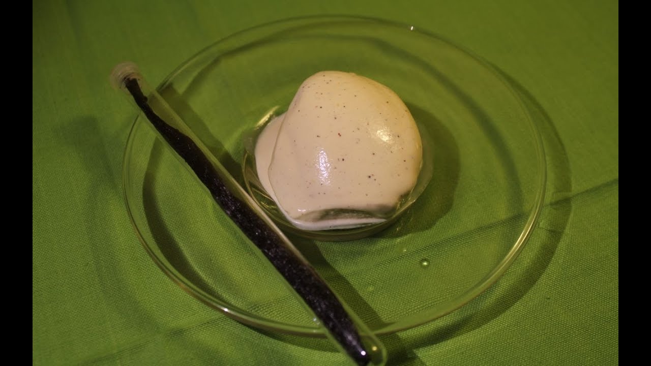 Vanilleeis Rezept - Der Bio Koch #451