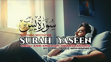 Qari Tareq Muhammed - Surah Yaseen Urdu And English Tarjuma | سورة يس القارئ طارق محمد