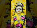 shri radhe rani kripa barsao🙏🙏🙏🥺🥺🌹🌹🌹🦚🦚